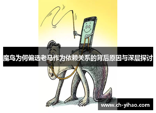 魔鸟为何偏选老马作为依赖关系的背后原因与深层探讨